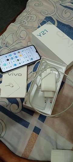 Vivo