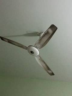 GFC Ceiling Fan Used 56"