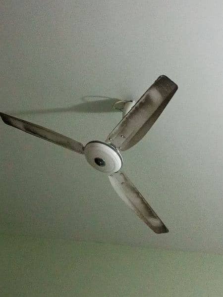 GFC Ceiling Fan Used 56" 0