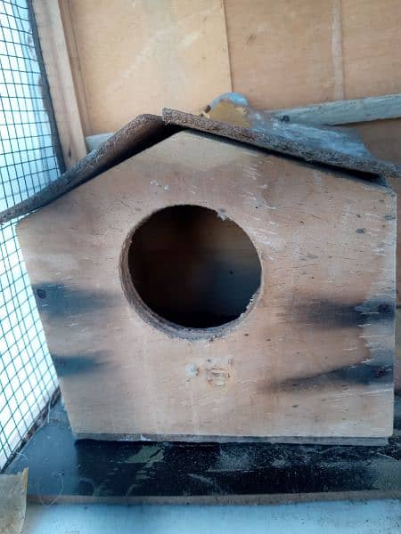 cage for 1 pair whit nest box 3