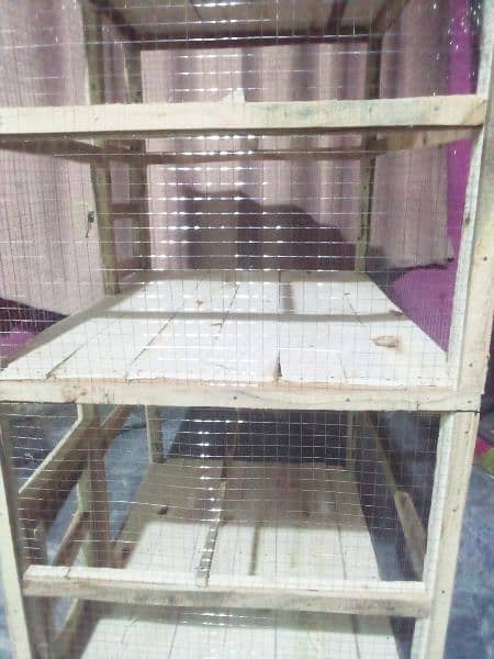 New beautiful double portion cage for sale 4