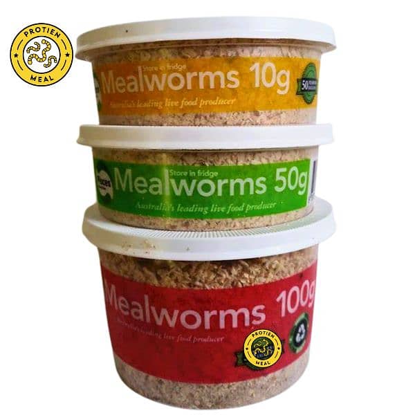 Mealworms for birds, fishes, turtles, gecko, tortoise 5