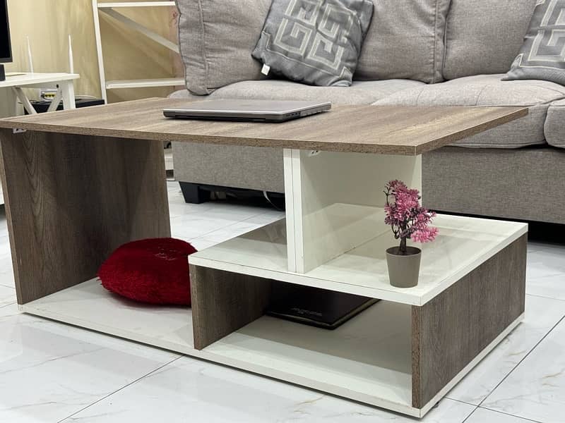 Coffee Table / Center Table 2