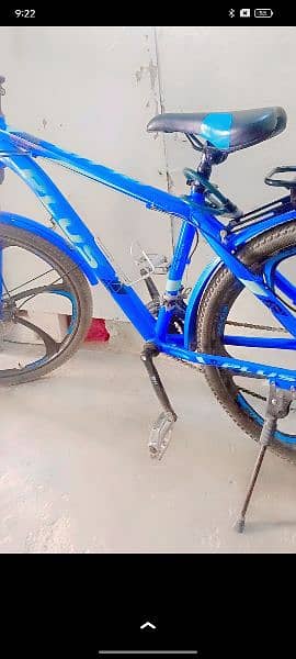 sell bicycle 2