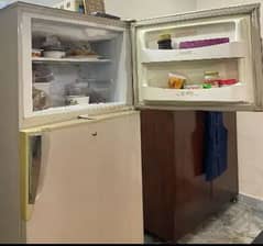 pel refrigerator 16 cubic feet