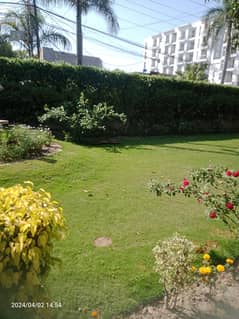 3 Kanal house for rent in model town for family or office use good location