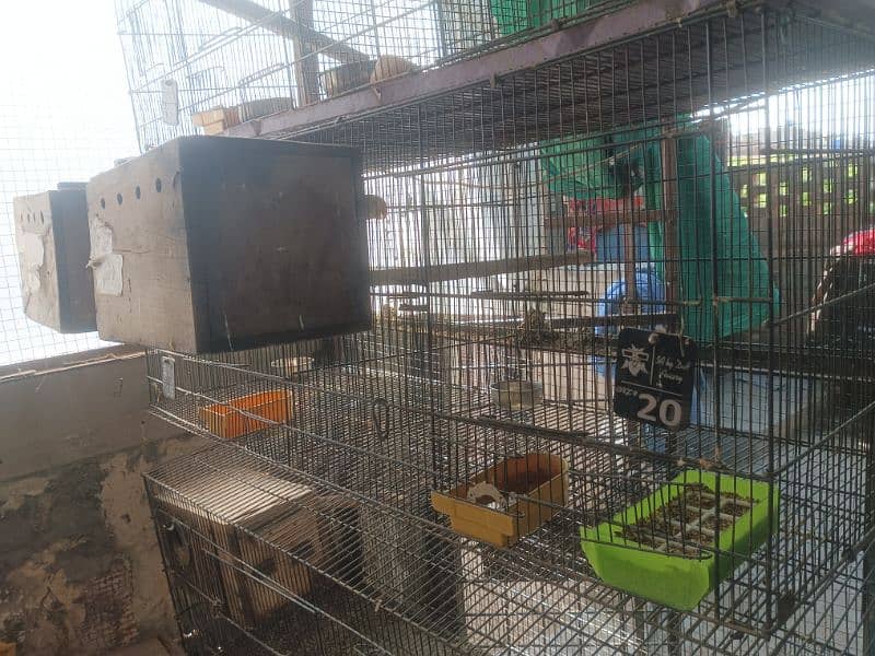 8 , Single Portion Folding Cages 9