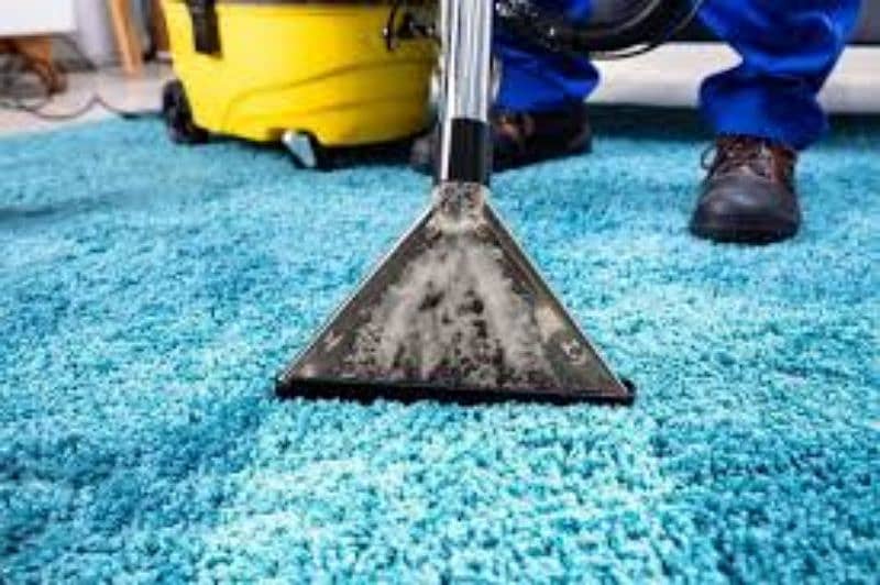 carpet and blanket cleaning services . . . 2