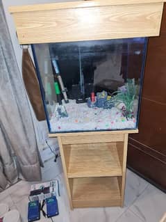 Fish Aquarium with 3 Filters and Accessories!