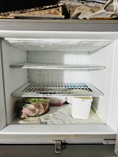 PEL Full size Fridge Perfect working - Full chilling - 8/10 condition 5
