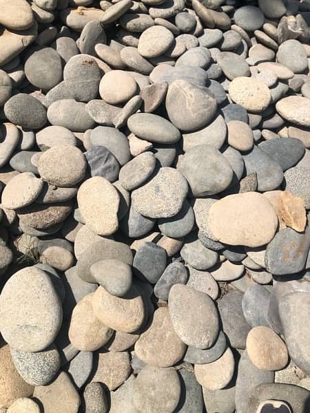 Pebbles Gravel Garden Decore Stone Landscape Plants 1