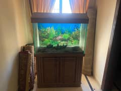 Fish Tank 5x3 ft For Sale