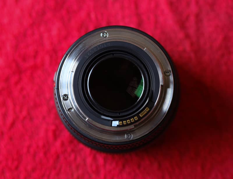 Canon 50mm F1.4 Lense     Front and back Cap    Condition 10/10  * 3