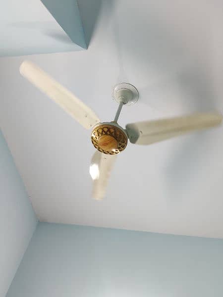 ceiling fan 1