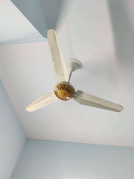 ceiling fan 2
