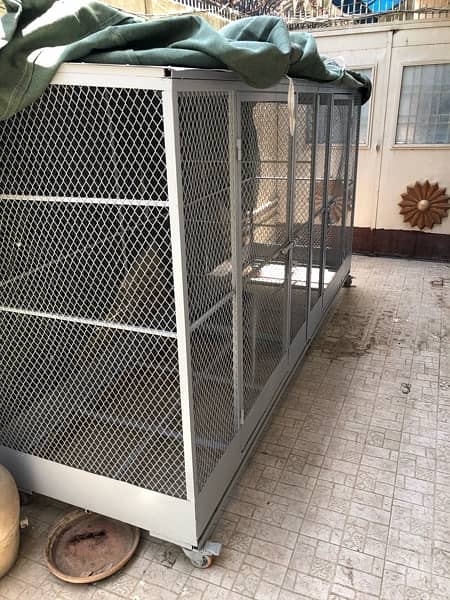 Customized Iron Cage with Seperator All Animals 2