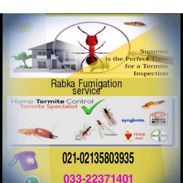 Rabka Pest Control Services Provider Karachi Zone 0