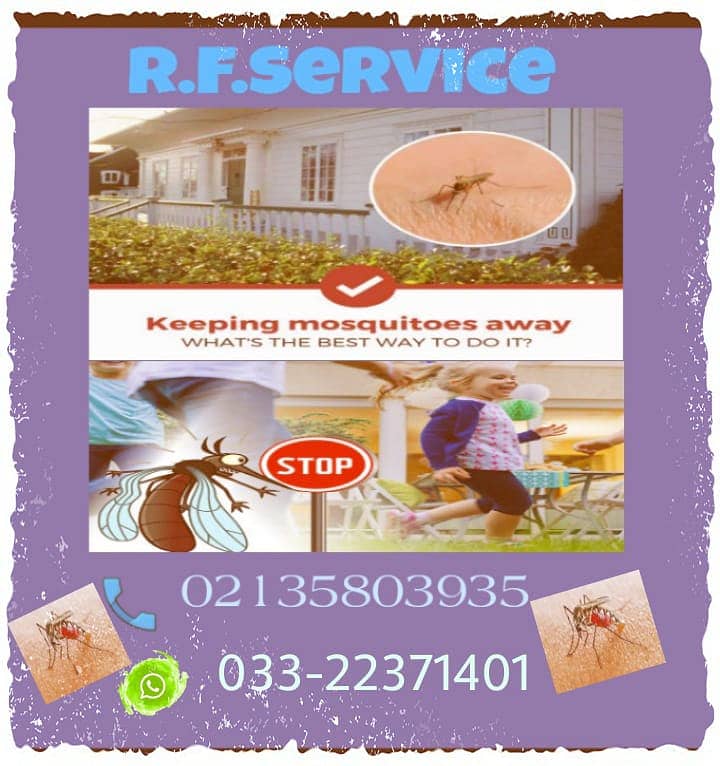 Rabka Pest Control Services Provider Karachi Zone 1