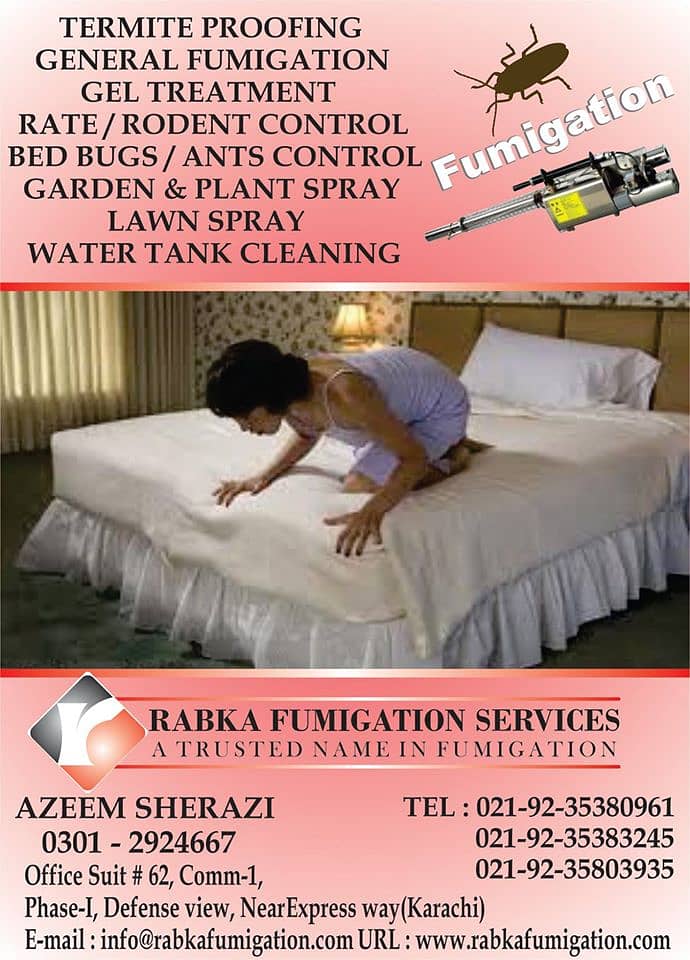 Rabka Pest Control Services Provider Karachi Zone 8