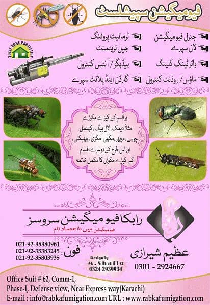 Rabka Pest Control Services Provider Karachi Zone 13