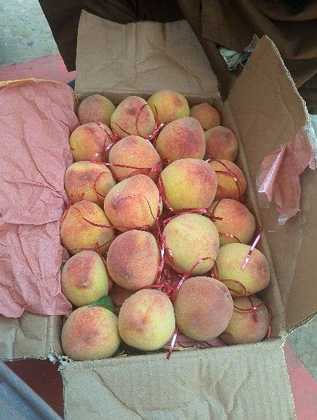 Fresh Aaro Peach Stock Unlimited Avail 1