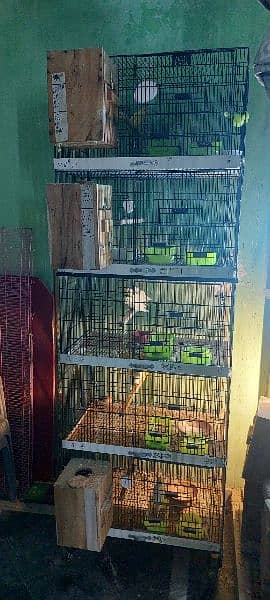 lovebird cage 1