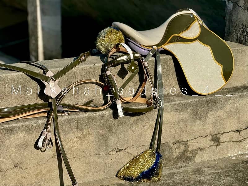 horse new saddle with complete set 5