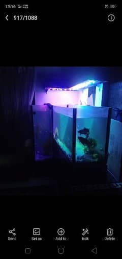 Aquarium  / fish Aquarium / fish tank  7 feet length,height 42 width15