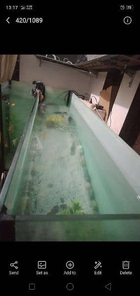 Aquarium  / fish Aquarium / fish tank  7 feet length,height 42 width15 1