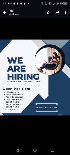 fresh staff needed for office