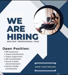 fresh staff needed for office 0
