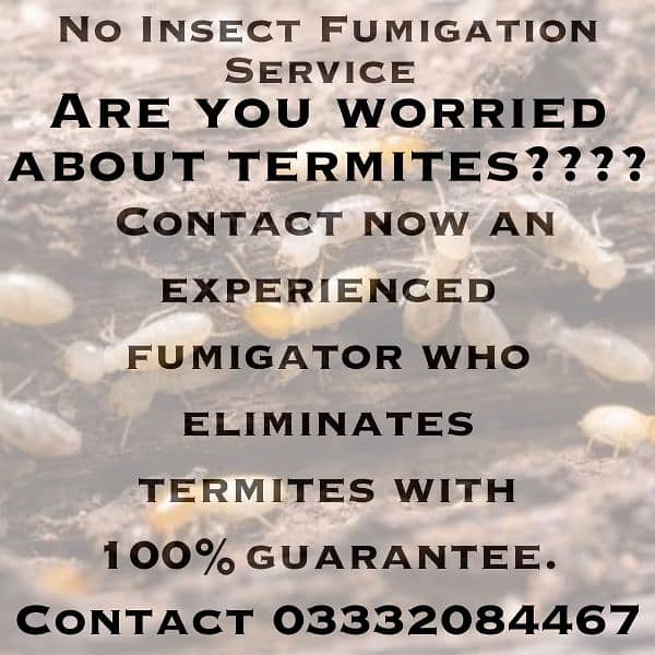 Termite bedbugs and cockroaches expert. NO INSECT FUMIGATION SERVICE 10