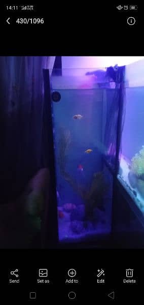Aquarium  / fish Aquarium / fish tank  7 feet length,height 42 width15 4