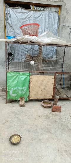 Big iron cage for animals or birds