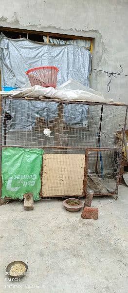 Big iron cage for animals or birds 1