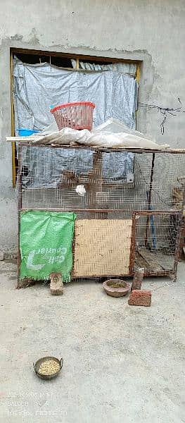 Big iron cage for animals or birds 2