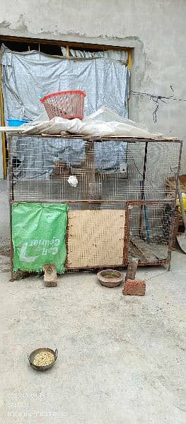 Big iron cage for animals or birds 3