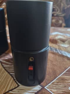 Bose adjustable mini speakers