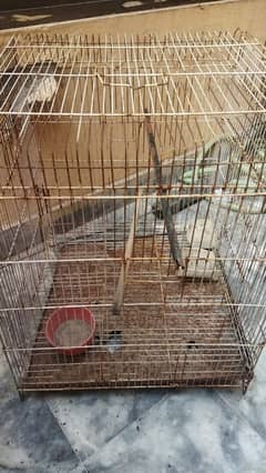 Bird Cage (pinjra) Larger Size length 48 INCh