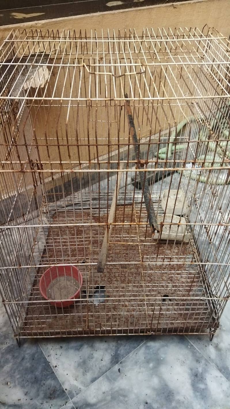 Bird Cage (pinjra) Larger Size length 48 INCh 0