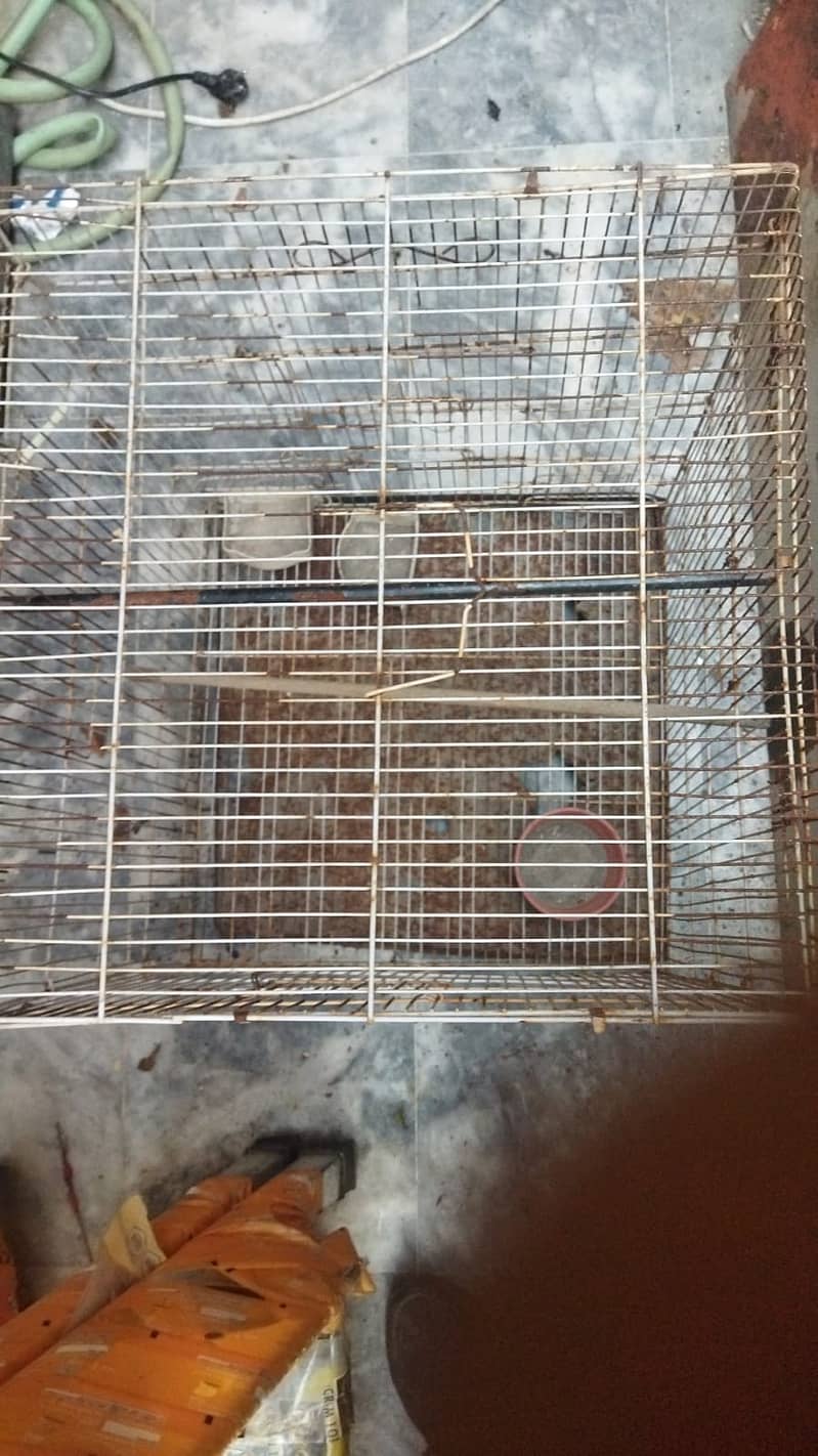 Bird Cage (pinjra) Larger Size length 48 INCh 2