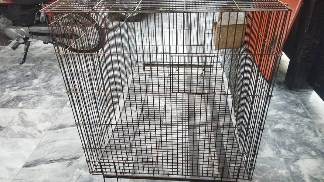 Bird Cage (pinjra) Larger Size length 48 INCh 4