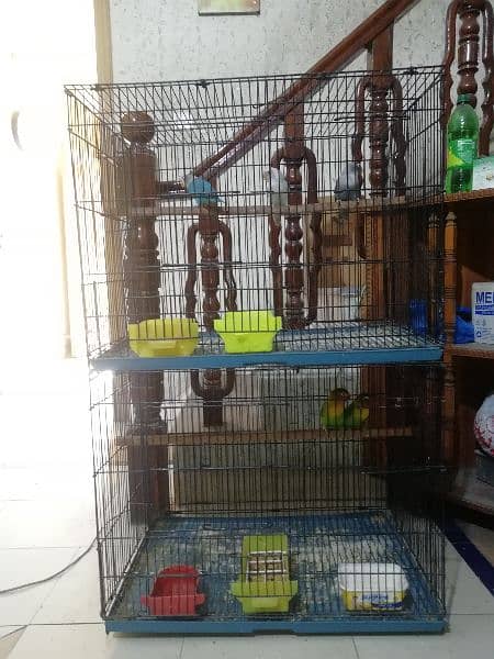 Cage for Australian and lovebirds 1