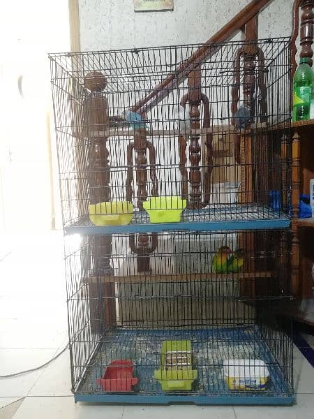 Cage for Australian and lovebirds 2