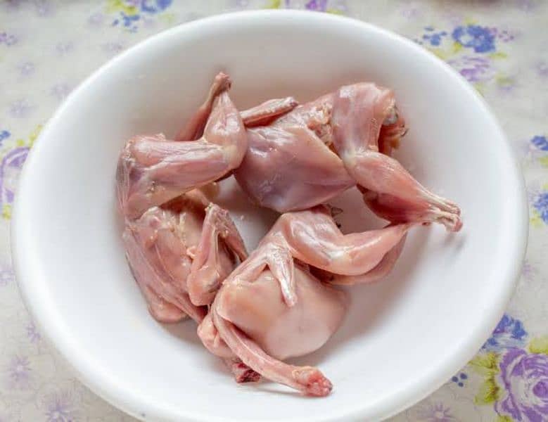Japanese Coturnix Quail Chicks | Batair Farming | Farm Bater Meat Eggs 8