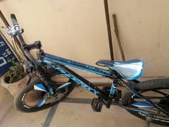 Phoenix full size Mountain bicycle in mint condition