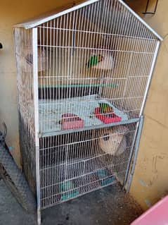 all parrot and cage sale
