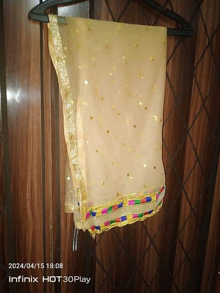 chiffon dress with net duppata 2