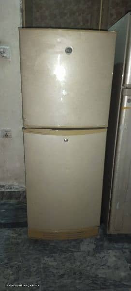 PEL refrigerator 10 cubic 2