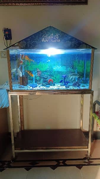 Fish Aquarium for sale urgent. 0